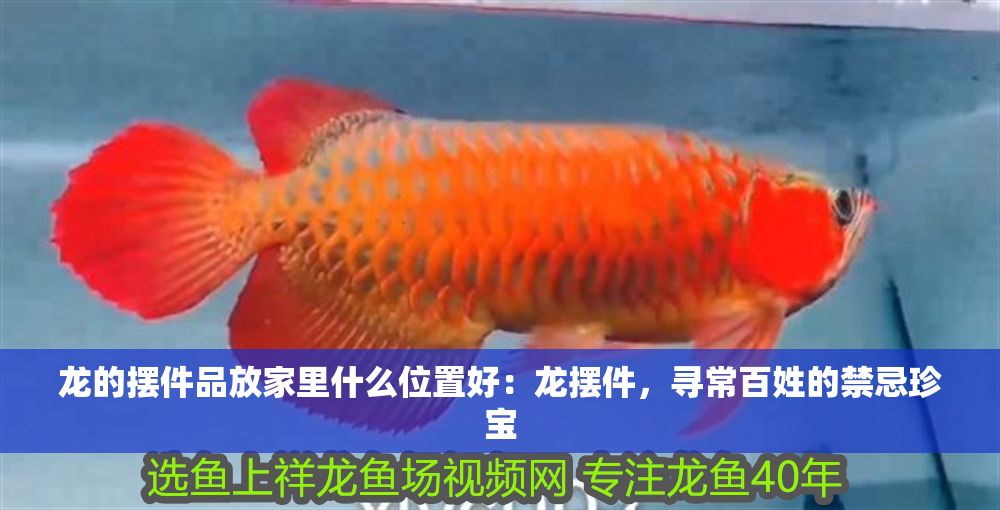 龍的擺件品放家里什么位置好：龍擺件，尋常百姓的禁忌珍寶