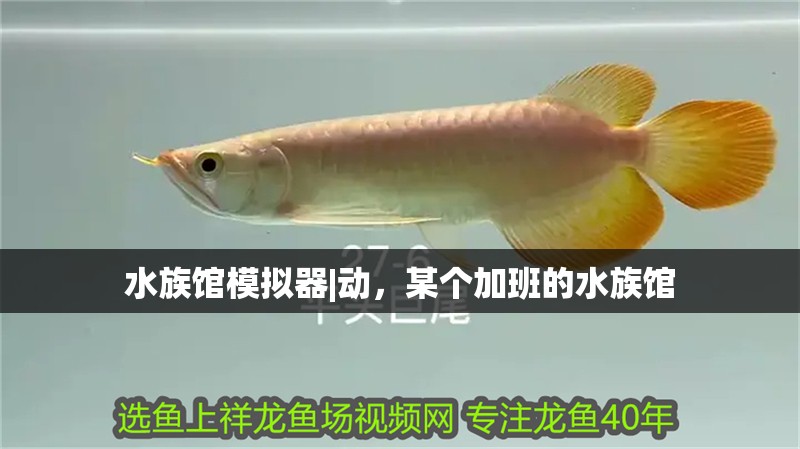 水族館模擬器|動，某個加班的水族館