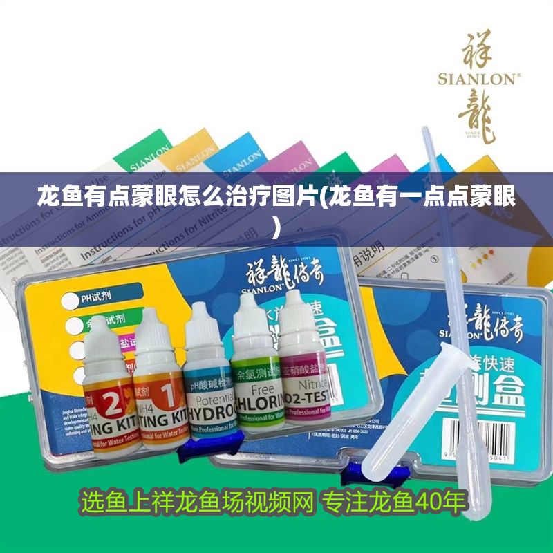 龍魚有點蒙眼怎么治療圖片(龍魚有一點點蒙眼)