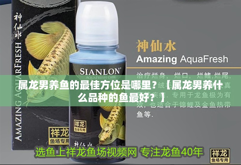 屬龍男養魚的最佳方位是哪里？【屬龍男養什么品種的魚最好？】