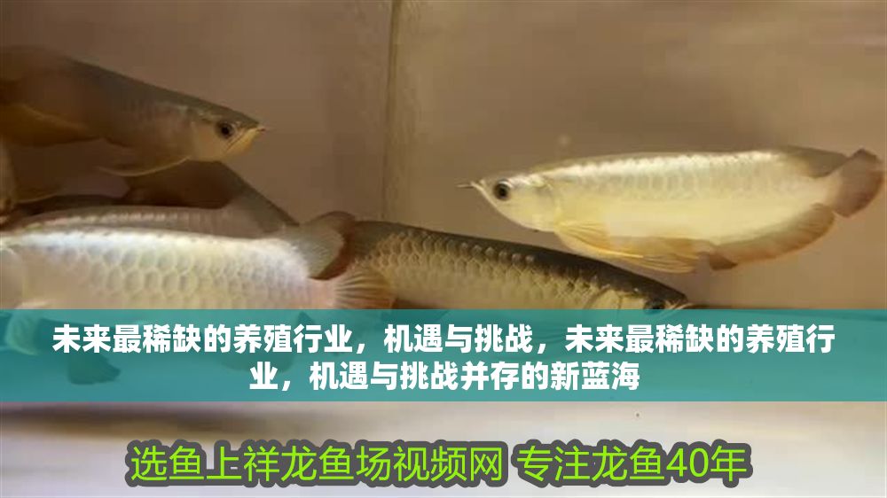 未來最稀缺的養(yǎng)殖行業(yè)，機(jī)遇與挑戰(zhàn)，未來最稀缺的養(yǎng)殖行業(yè)，機(jī)遇與挑戰(zhàn)并存的新藍(lán)海