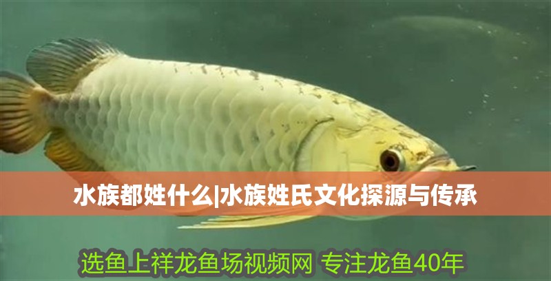 水族都姓什么|水族姓氏文化探源與傳承