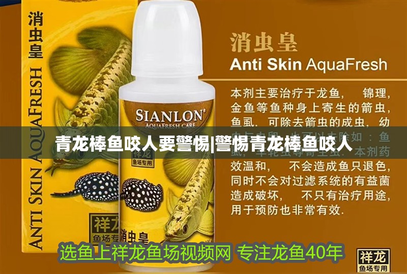 青龍棒魚咬人要警惕|警惕青龍棒魚咬人 青龍棒魚咬人要警惕|警惕青龍棒魚咬人 龍魚論壇