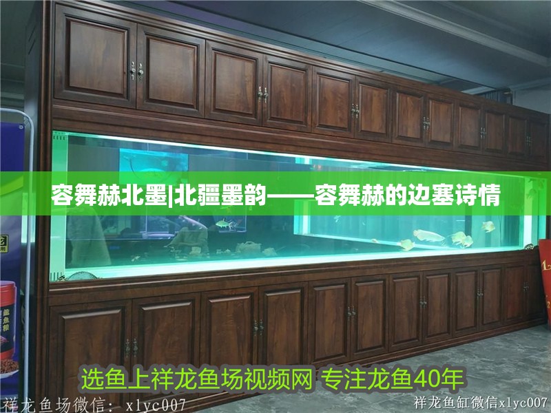 容舞赫北墨|北疆墨韻——容舞赫的邊塞詩情 容舞赫北墨|北疆墨韻——容舞赫的邊塞詩情 龍魚論壇