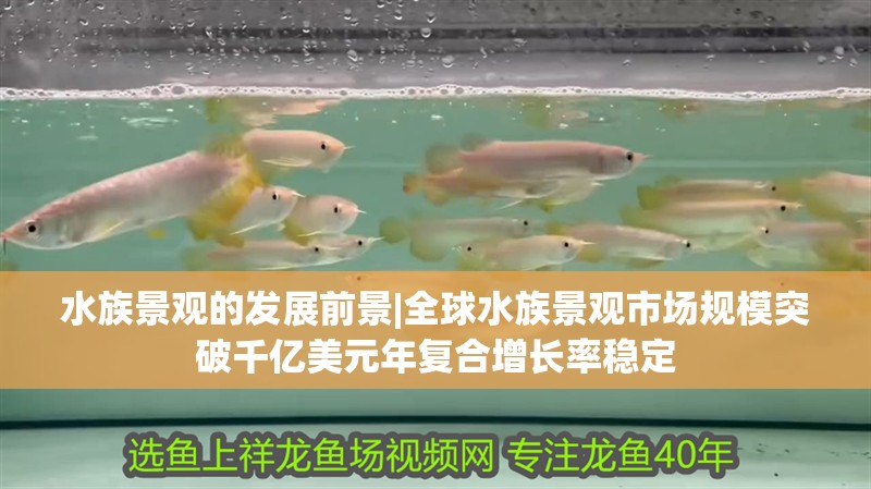 水族景觀的發(fā)展前景|全球水族景觀市場規(guī)模突破千億美元年復合增長率穩(wěn)定