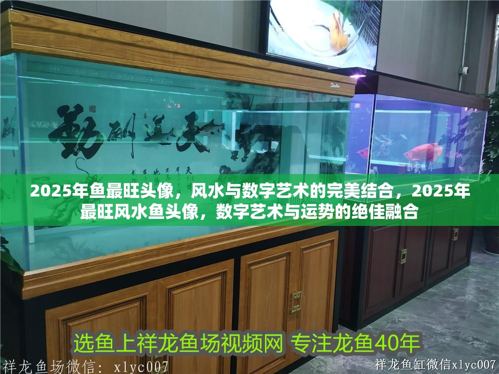 2025年魚(yú)最旺頭像，風(fēng)水與數(shù)字藝術(shù)的完美結(jié)合，2025年最旺風(fēng)水魚(yú)頭像，數(shù)字藝術(shù)與運(yùn)勢(shì)的絕佳融合