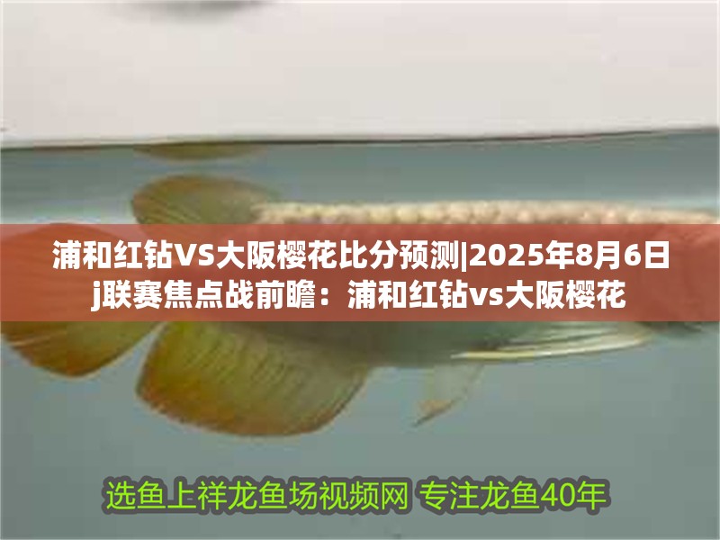 浦和紅鉆VS大阪櫻花比分預測|2025年8月6日j聯賽焦點戰前瞻：浦和紅鉆vs大阪櫻花