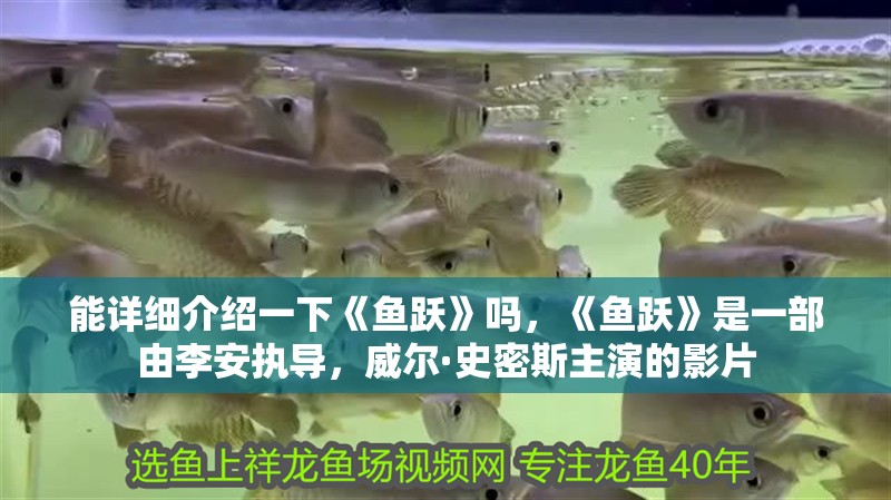 能詳細介紹一下《魚躍》嗎，《魚躍》是一部由李安執導，威爾·史密斯主演的影片