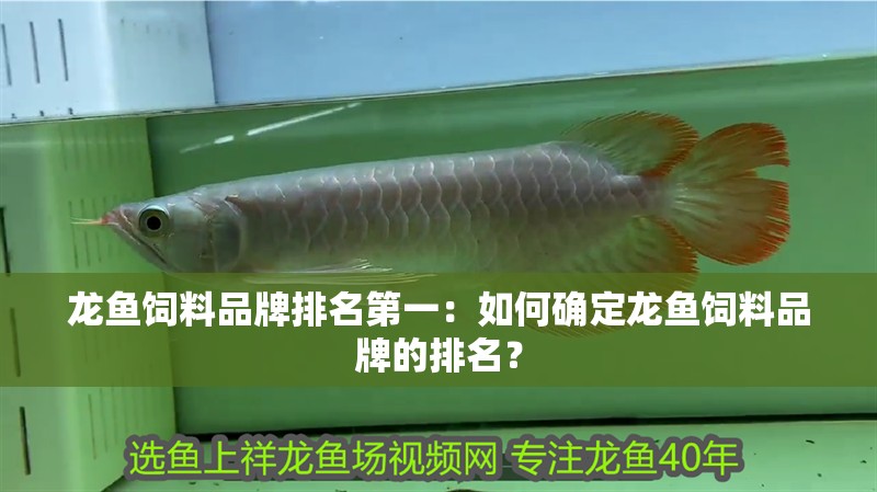 龍魚飼料品牌排名第一：如何確定龍魚飼料品牌的排名？