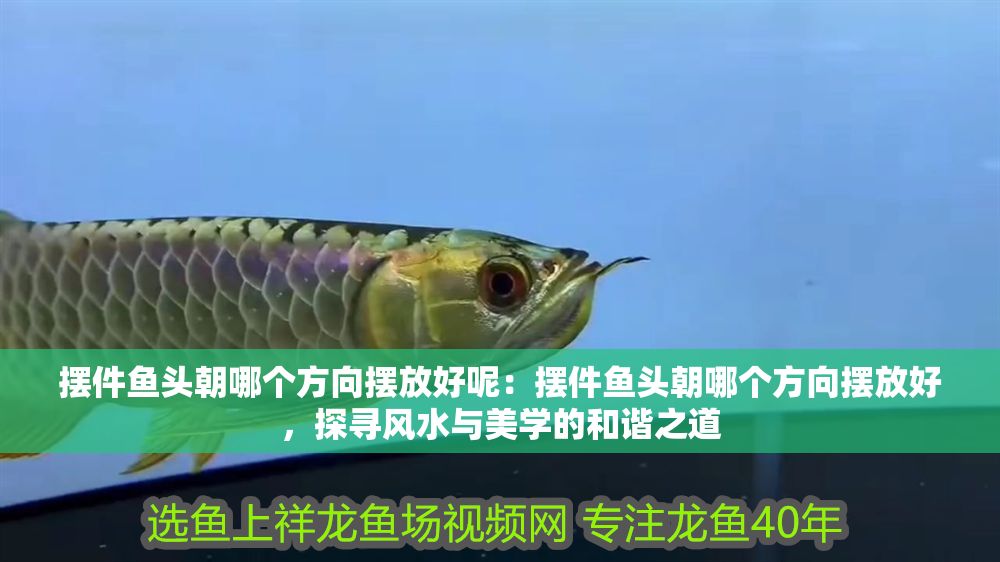 擺件魚頭朝哪個方向擺放好呢：擺件魚頭朝哪個方向擺放好，探尋風水與美學的和諧之道