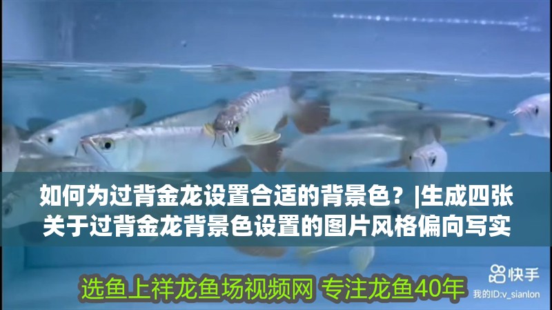 如何為過背金龍設置合適的背景色？|生成四張關于過背金龍背景色設置的圖片風格偏向寫實