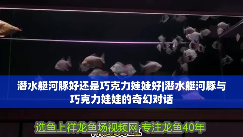 魚缸用增氧泵價格是多少:魚缸增氧機-xtrac增氧機-xtrac增氧機 潛水艇河豚好還是巧克力娃娃好|潛水艇河豚與巧克力娃娃的奇幻對話 龍魚論壇 潛水艇河豚好還是巧克力娃娃好|潛水艇河豚與巧克力娃娃的奇幻對話 潛水艇河豚好還是巧克力娃娃好|潛水艇河豚與巧克力娃娃的奇幻對話 龍魚論壇