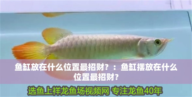 魚缸放在什么位置最招財？：魚缸擺放在什么位置最招財？