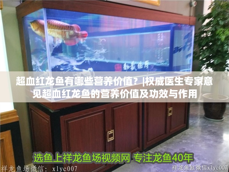 超血紅龍魚有哪些營養(yǎng)價值？|權(quán)威醫(yī)生專家意見超血紅龍魚的營養(yǎng)價值及功效與作用
