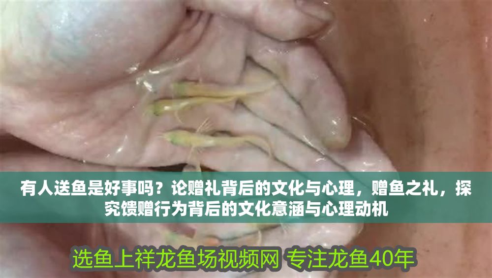 有人送魚是好事嗎？論贈禮背后的文化與心理，贈魚之禮，探究饋贈行為背后的文化意涵與心理動機