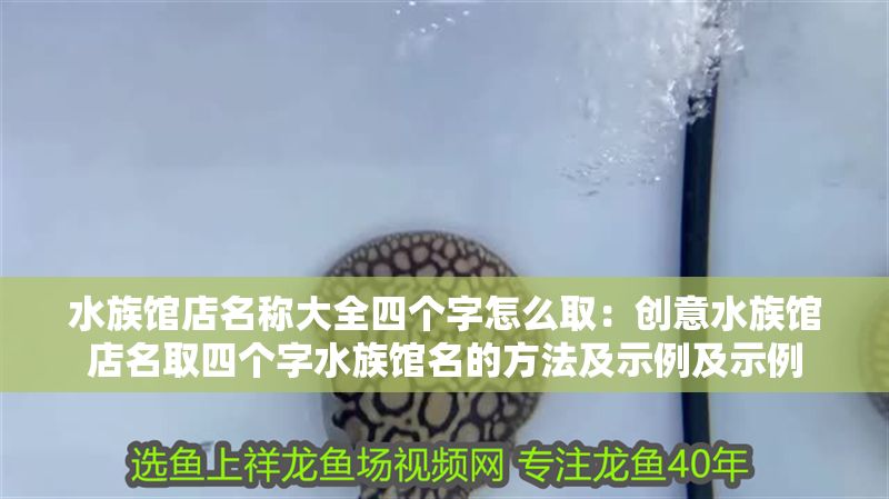 水族館店名稱大全四個字怎么取：創意水族館店名取四個字水族館名的方法及示例及示例 水族館店名稱大全四個字怎么取：創意水族館店名取四個字水族館名的方法及示例及示例 水族館百科（水族館加盟） 第1張