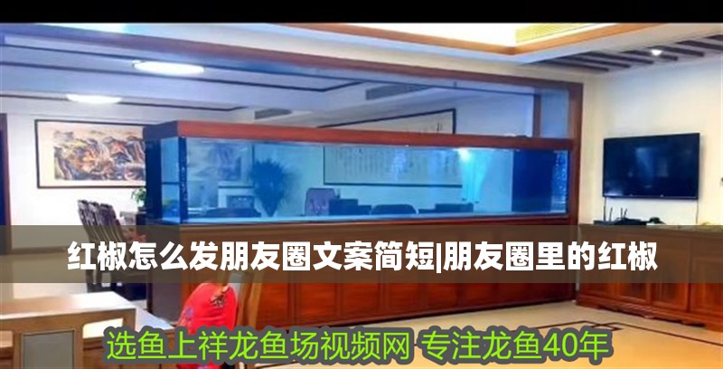 紅椒怎么發朋友圈文案簡短|朋友圈里的紅椒 紅椒怎么發朋友圈文案簡短|朋友圈里的紅椒 龍魚論壇