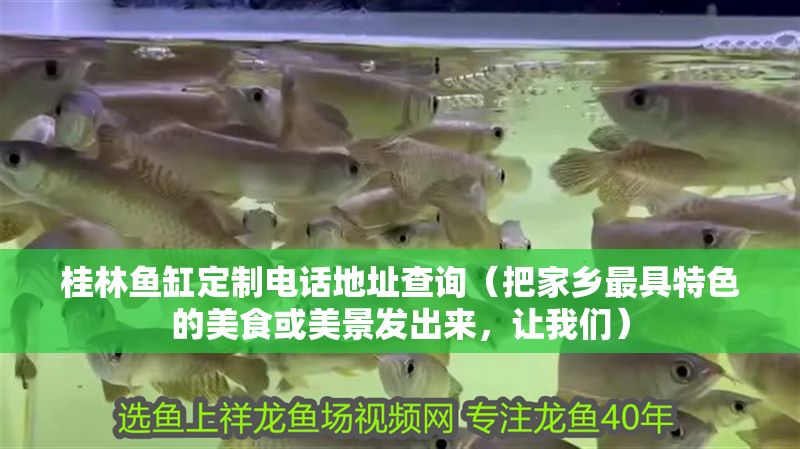 桂林魚缸定制電話地址查詢（把家鄉(xiāng)最具特色的美食或美景發(fā)出來，讓我們）