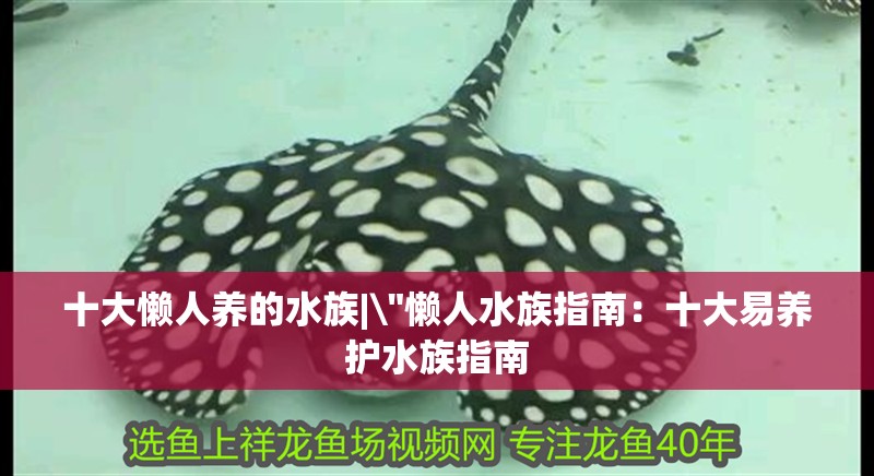 十大懶人養的水族|\