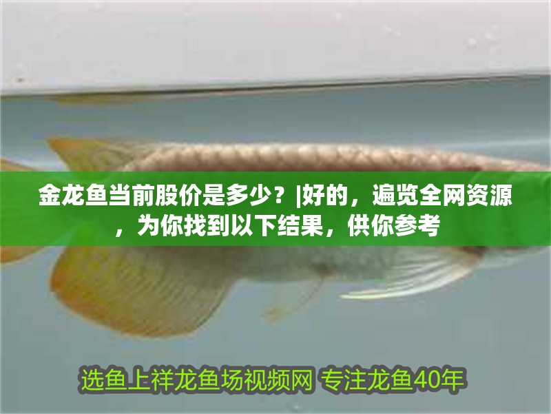 金龍魚(yú)當(dāng)前股價(jià)是多少？|好的，遍覽全網(wǎng)資源，為你找到以下結(jié)果，供你參考