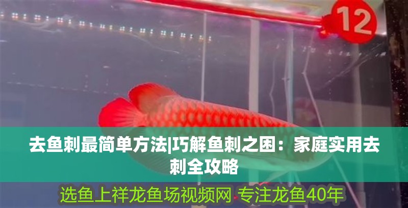 去魚刺最簡單方法|巧解魚刺之困：家庭實用去刺全攻略