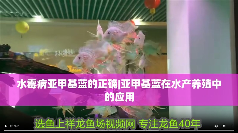 水霉病亞甲基藍的正確|亞甲基藍在水產養殖中的應用