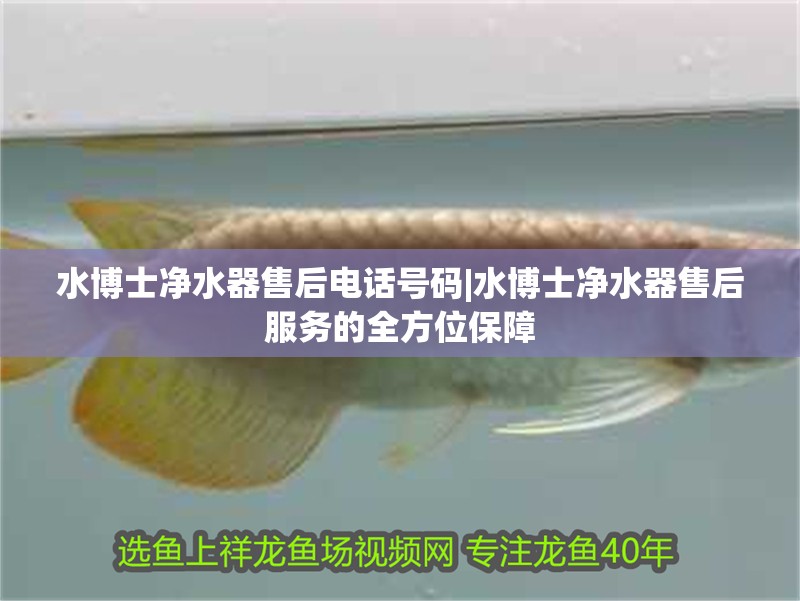 水博士凈水器售后電話號碼|水博士凈水器售后服務的全方位保障