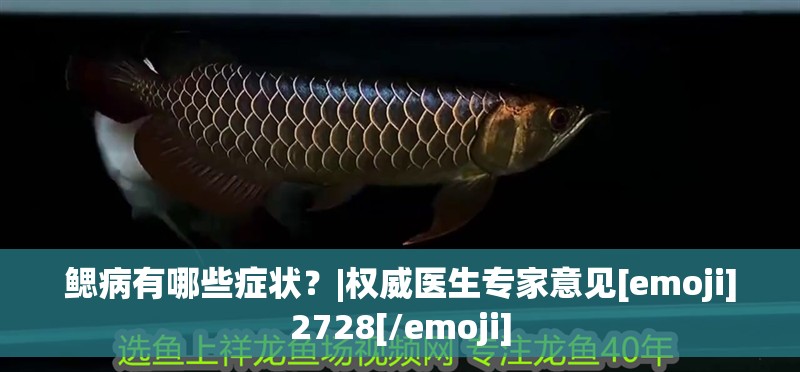 鰓病有哪些癥狀？|權威醫生專家意見[emoji]2728[/emoji] 鰓病有哪些癥狀？|權威醫生專家意見[emoji]2728[/emoji] 龍魚百科