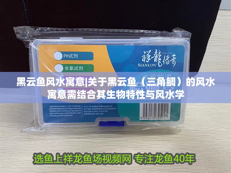黑云魚風水寓意|關于黑云魚（三角鯛）的風水寓意需結合其生物特性與風水學