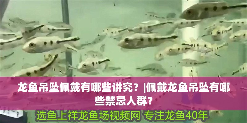 魚缸用增氧泵價格是多少:魚缸增氧機-xtrac增氧機-xtrac增氧機 龍魚吊墜佩戴有哪些講究?|佩戴龍魚吊墜有哪些禁忌人群? 龍魚論壇 龍魚吊墜佩戴有哪些講究?|佩戴龍魚吊墜有哪些禁忌人群? 龍魚吊墜佩戴有哪些講究?|佩戴龍魚吊墜有哪些禁忌人群? 龍魚論壇