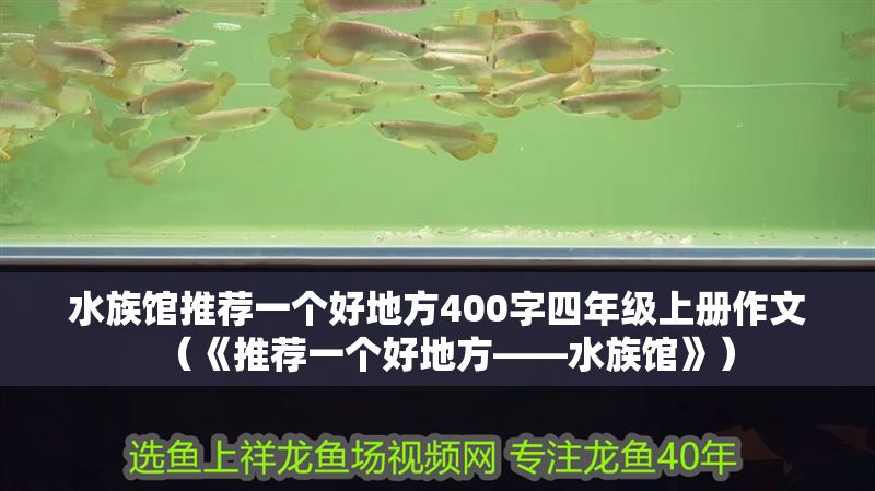 水族館推薦一個好地方400字四年級上冊作文（《推薦一個好地方——水族館》） 水族館推薦一個好地方400字四年級上冊作文（《推薦一個好地方——水族館》） 水族館百科（水族館加盟） 第1張