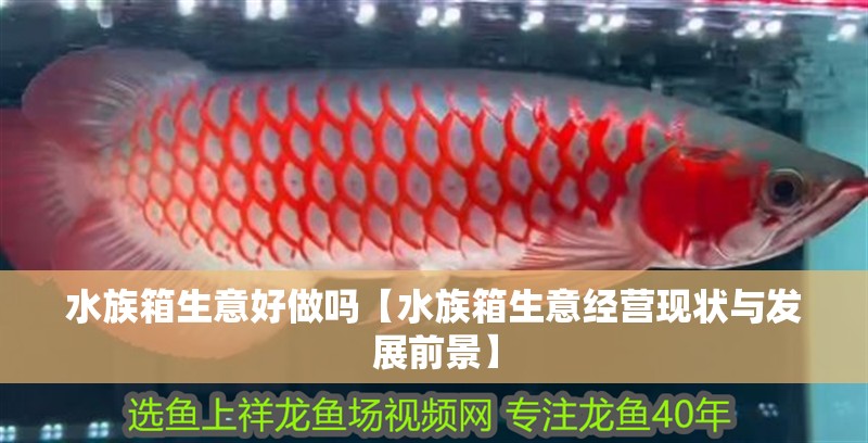 水族箱生意好做嗎【水族箱生意經(jīng)營(yíng)現(xiàn)狀與發(fā)展前景】 水族箱生意好做嗎【水族箱生意經(jīng)營(yíng)現(xiàn)狀與發(fā)展前景】 龍魚論壇