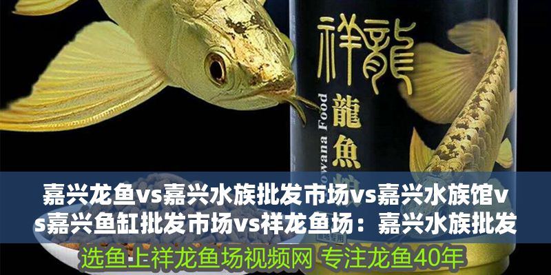 嘉興龍魚vs嘉興水族批發市場vs嘉興水族館vs嘉興魚缸批發市場vs祥龍魚場：嘉興水族批發市場、嘉興魚缸批發市場、祥龍魚場魚類品種介紹 嘉興龍魚vs嘉興水族批發市場vs嘉興水族館vs嘉興魚缸批發市場vs祥龍魚場：嘉興水族批發市場、嘉興魚缸批發市場、祥龍魚場魚類品種介紹 祥龍魚場各市分站 第2張