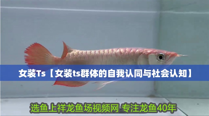 女裝Ts【女裝ts群體的自我認(rèn)同與社會(huì)認(rèn)知】