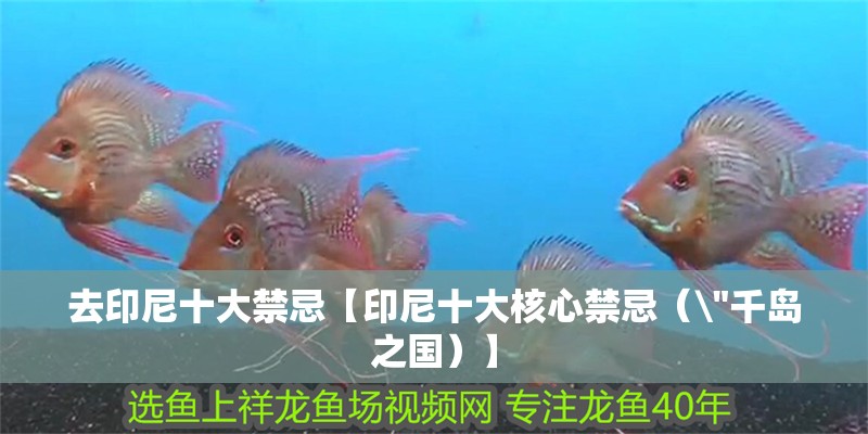 去印尼十大禁忌【印尼十大核心禁忌（\