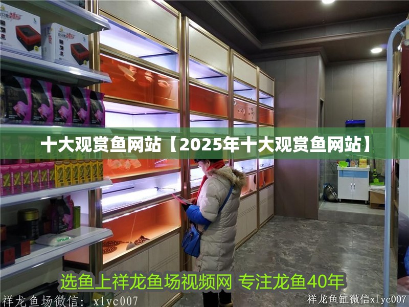 十大觀賞魚網站【2025年十大觀賞魚網站】