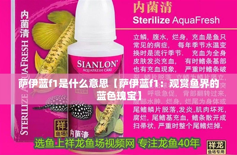 薩伊藍f1是什么意思【薩伊藍f1：觀賞魚界的藍色瑰寶】