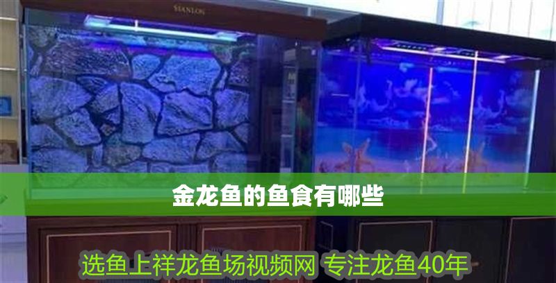 金龍魚的魚食有哪些