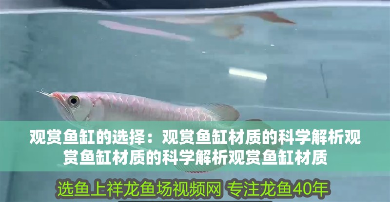 觀賞魚缸的選擇：觀賞魚缸材質的科學解析觀賞魚缸材質的科學解析觀賞魚缸材質