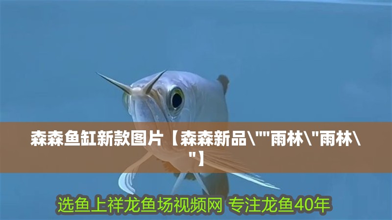 森森魚缸新款圖片【森森新品\