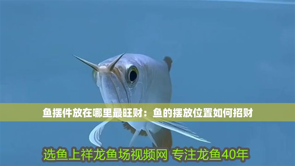 魚擺件放在哪里最旺財(cái)：魚的擺放位置如何招財(cái)