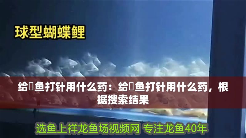 給魟魚打針用什么藥：給魟魚打針用什么藥，根據搜索結果