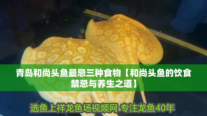 魚缸過濾器選購指南:自制魚缸過濾器魚缸上置過濾器對于養(yǎng)魚愛好者的必備知識 青島和尚頭魚最忌三種食物【和尚頭魚的飲食禁忌與養(yǎng)生之道】 龍魚論壇 青島和尚頭魚最忌三種食物【和尚頭魚的飲食禁忌與養(yǎng)生之道】 青島和尚頭魚最忌三種食物【和尚頭魚的飲食禁忌與養(yǎng)生之道】 龍魚論壇