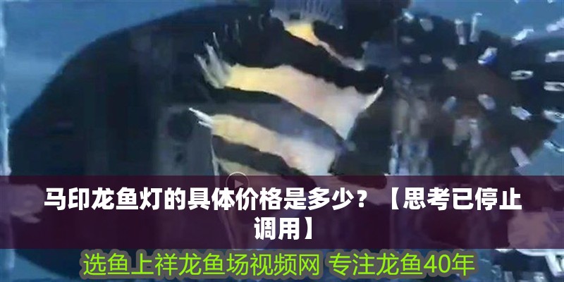 馬印龍魚燈的具體價格是多少？【思考已停止調用】
