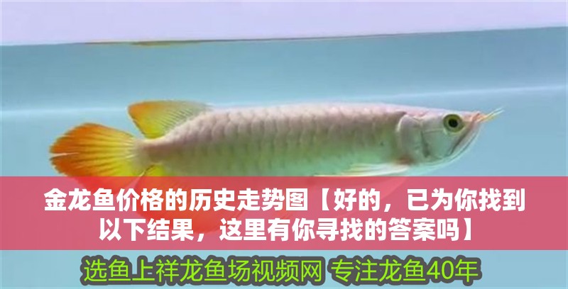 金龍魚價格的歷史走勢圖【好的，已為你找到以下結果，這里有你尋找的答案嗎】 金龍魚價格的歷史走勢圖【好的，已為你找到以下結果，這里有你尋找的答案嗎】 龍魚百科
