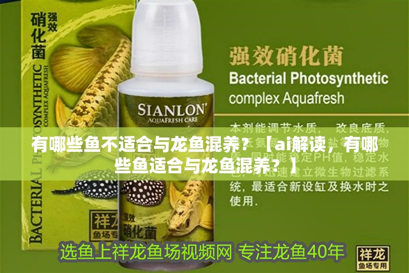 有哪些魚不適合與龍魚混養？【ai解讀，有哪些魚適合與龍魚混養？】