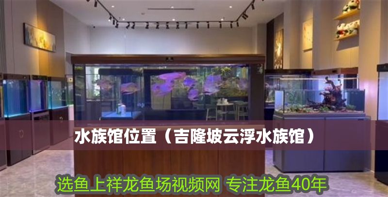 水族館位置（吉隆坡云浮水族館）