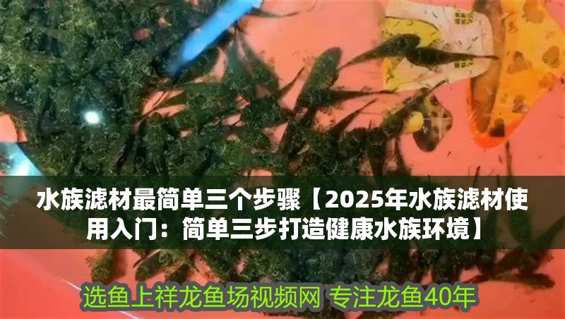 龍魚干蝦有營養嗎 水族濾材最簡單三個步驟【2025年水族濾材使用入門:簡單三步打造健康水族環境】 龍魚論壇 水族濾材最簡單三個步驟【2025年水族濾材使用入門:簡單三步打造健康水族環境】 水族濾材最簡單三個步驟【2025年水族濾材使用入門:簡單三步打造健康水族環境】 龍魚論壇