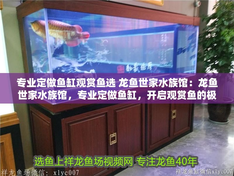 專業定做魚缸觀賞魚選 龍魚世家水族館：龍魚世家水族館，專業定做魚缸，開啟觀賞魚的極致視覺盛宴