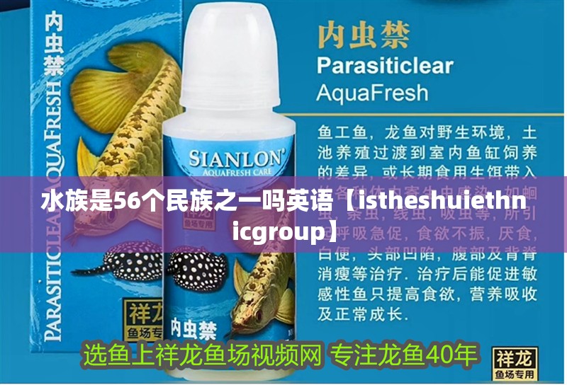 水族是56個民族之一嗎英語【istheshuiethnicgroup】